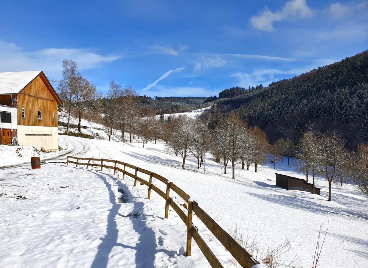 Ferienhaus Grimme - 350M2, 18 Betten - Mit Indoorspielplatz, Pool, Grosser Terrasse, Grill, Sauna, Kicker, Dart, Uvm - Ideal Fuer Familien Шмалленберг Экстерьер фото